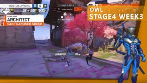 OWL Stage4 Week3