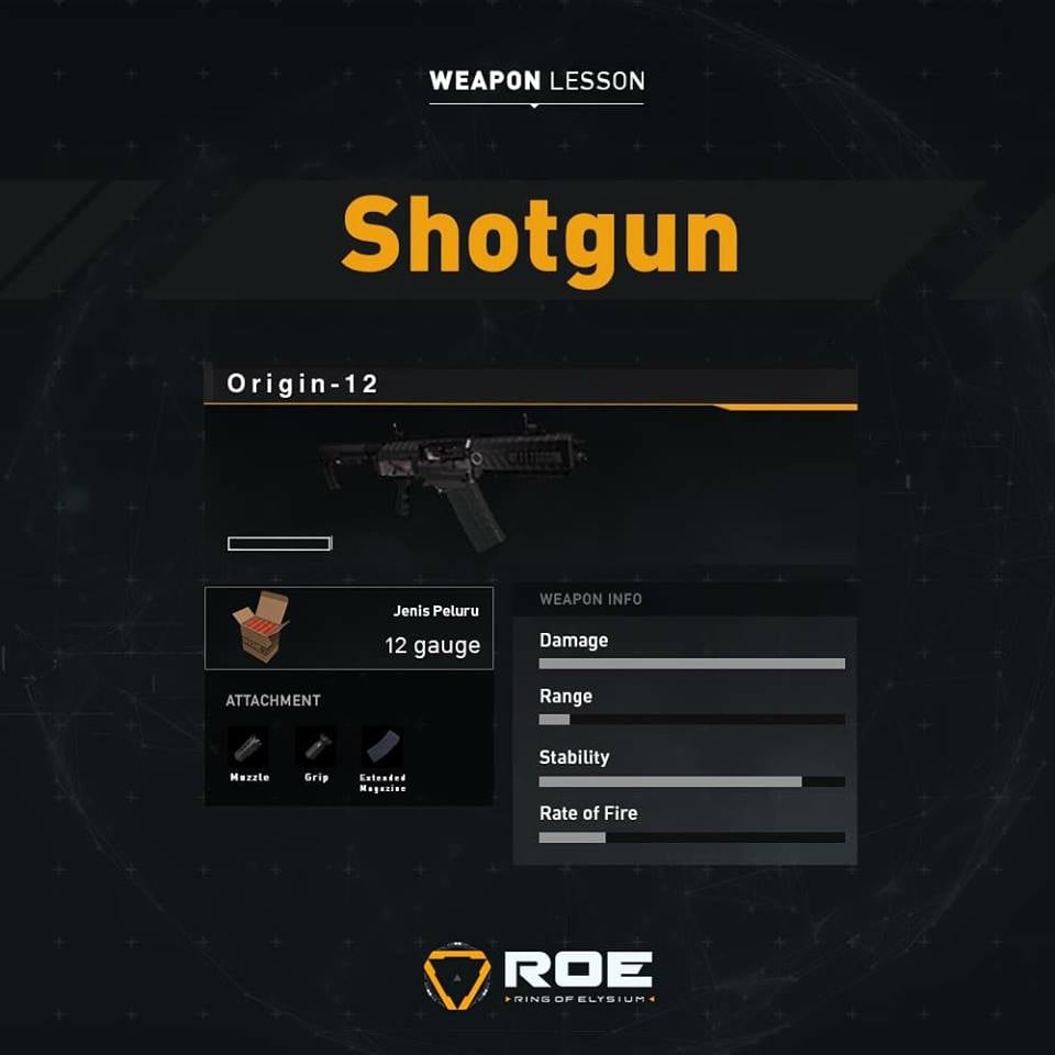 Ring of Elysium Origin-12 Shotgun