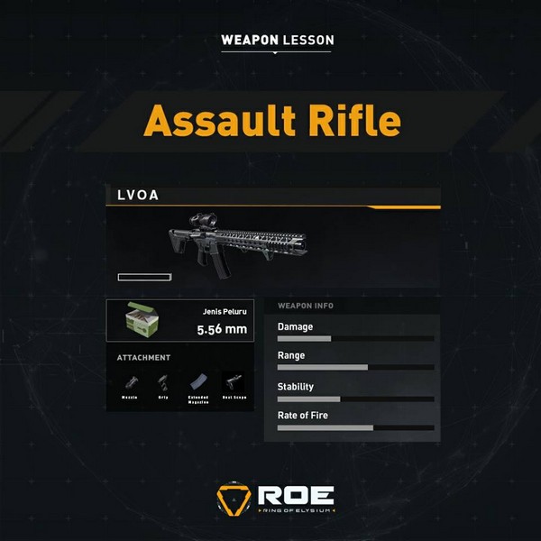 ROE Assault Rifle - LVOA