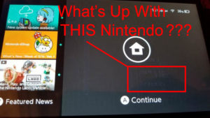 Nintendo Switch Online NES CRT Filter Leaves Screen Burn